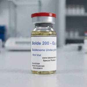 Home bolde200